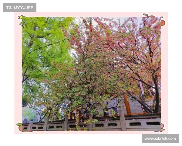 雨中漫步的悠然与静谧